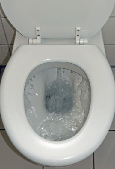 韓婦斬斷丈夫生殖器後，將丈夫生殖器沖入馬桶。Alamy示意圖