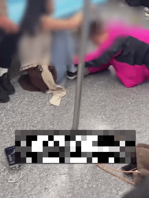 兩女上海地鐵為爭座位打大出手，扯頭髮抱摔技盡出。 網片截圖