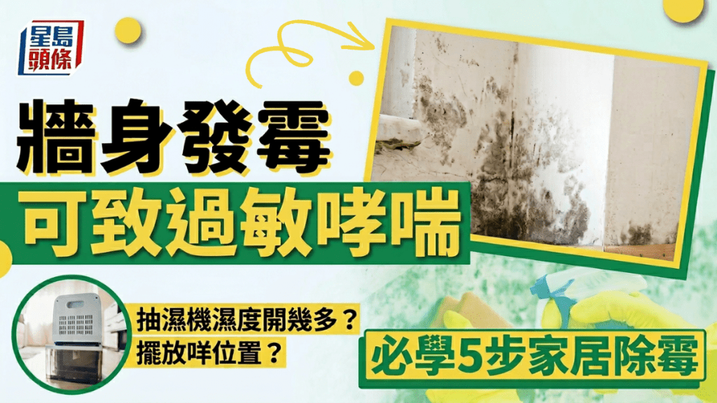 牆身發霉  可致過敏哮喘  必學5步家居除霉  抽濕機濕度開幾多？  擺放咩位置？
