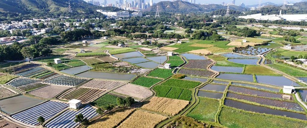 政府設立塱原自然生態公園，面積約37公頃，分為三個管理區域。謝展寰網誌