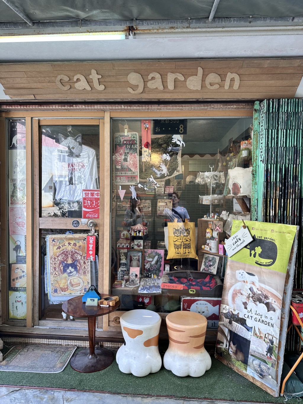 貓店長們有時會在門口櫥窗位置的貓窩休息，猶如櫥窗「模特兒」。（圖片來源：《親子王》）