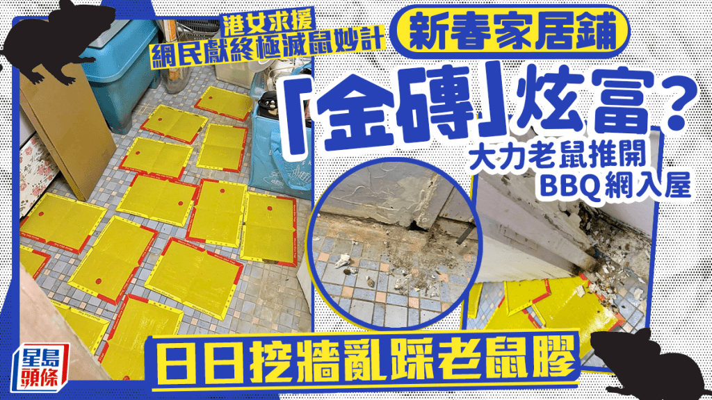 新春家居鋪「金磚」炫富？ 大力老鼠推網入屋亂踩老鼠膠 網民獻終極滅鼠妙計｜Juicy叮