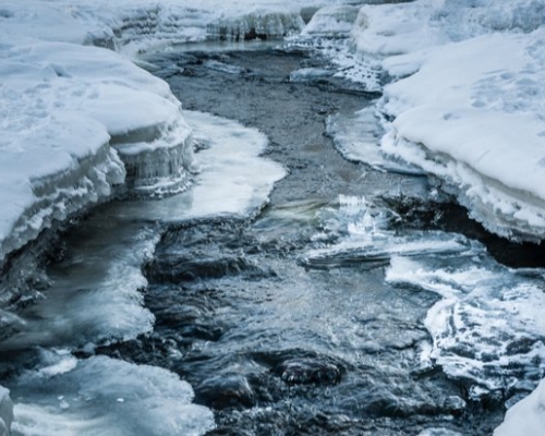 加拿大科學家發現，該國北極地區的冰川融水竟會大量吸收大氣中的二氧化碳，而且速度比亞馬遜雨林更快。 網圖