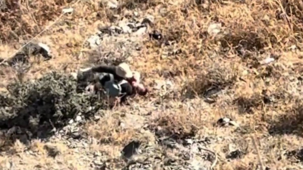 雲南虎跳峽有8歲童失足墮崖身亡。