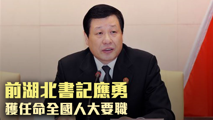 前湖北書記應勇卸任後獲任命全國人大職務。網上圖片