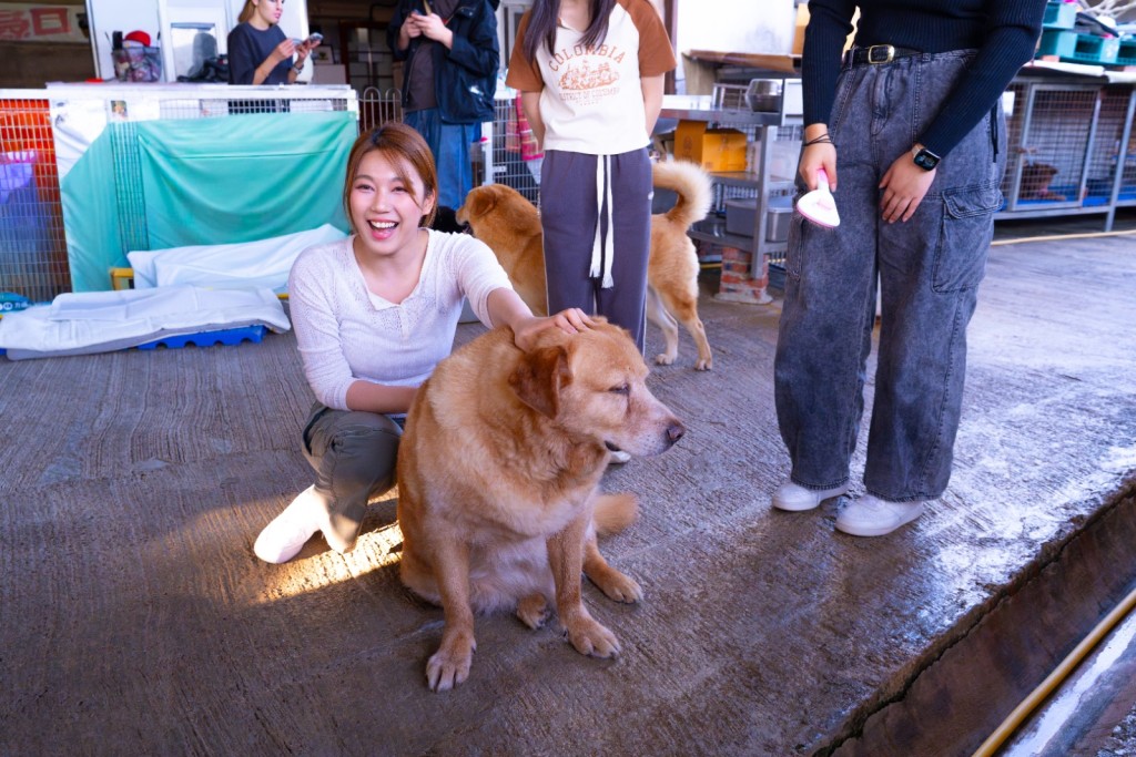她表示“大树下”好需要大家支持和捐款,至可以继续营运落去。 她表示“大树下”好需要大家支持和捐款,至可以继续营运落去。