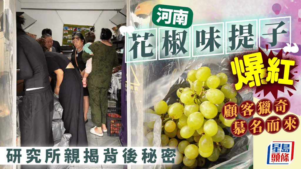 花椒味葡萄︱河南郑州试推新品种即爆红 水果店：10棵树卖完等明年