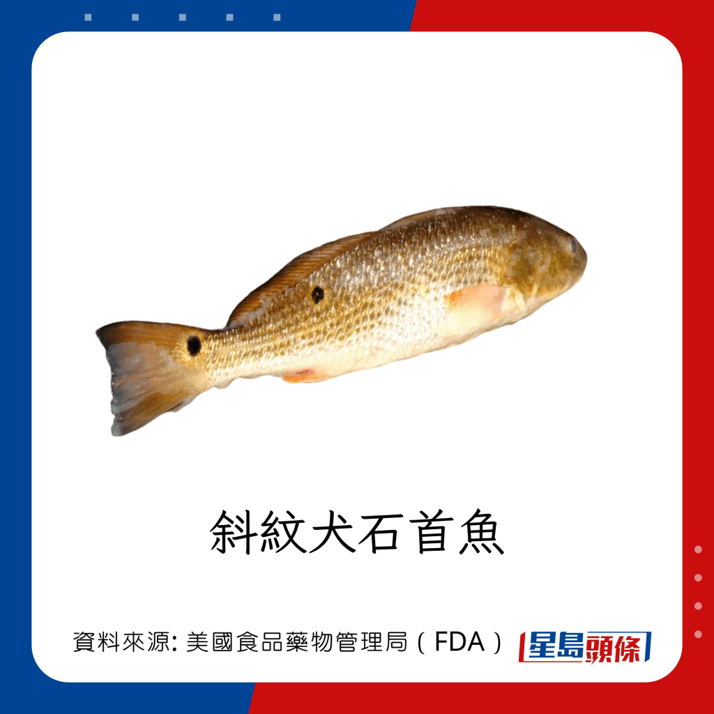 魚類水銀｜水銀含量中等的魚類：斜紋犬石首魚