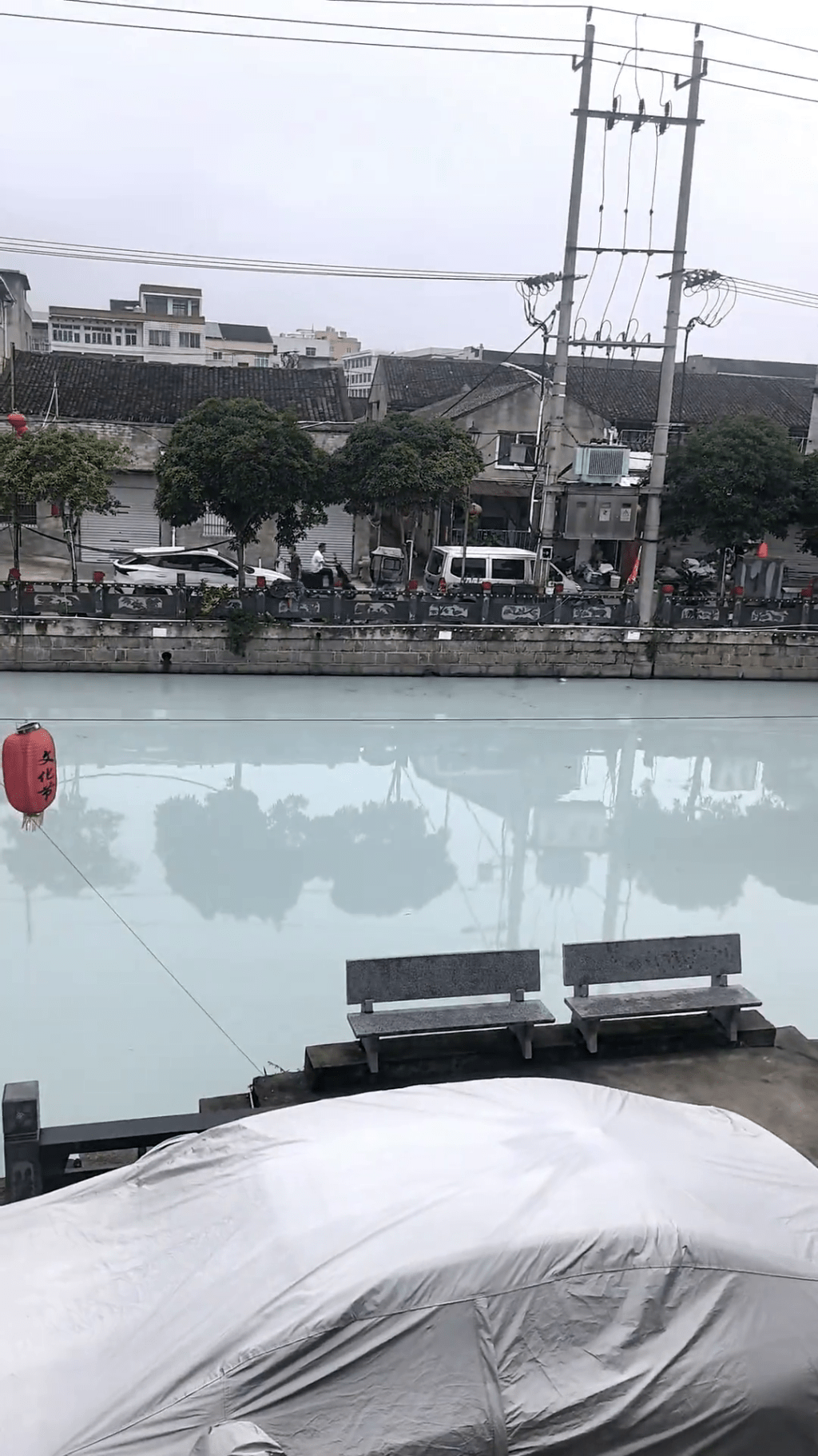 溫州瑞安一河段突變「牛奶河」。 溫州瑞安一河段突變「牛奶河」。