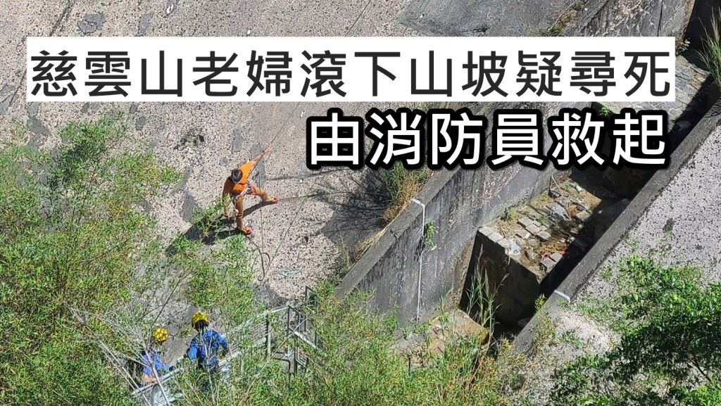 網民April Lam圖片