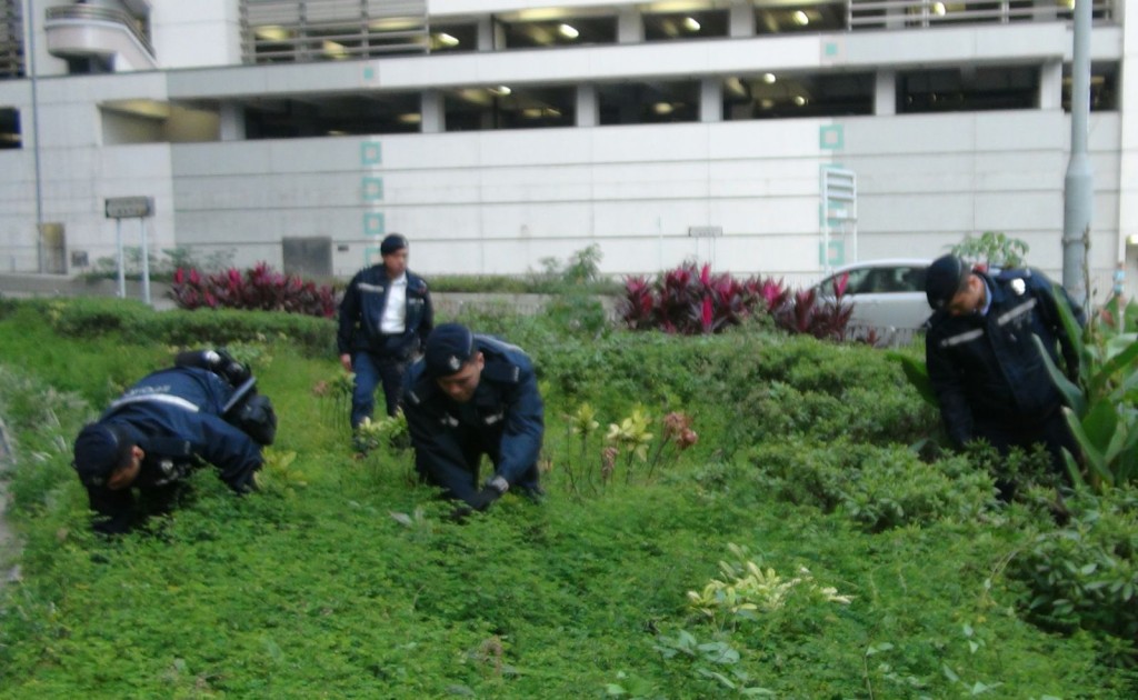 機動部隊人員到場搜証
