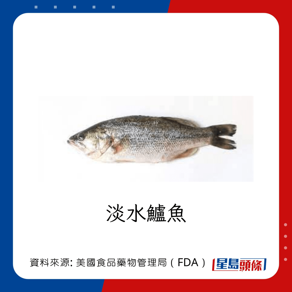 低水銀魚類 淡水鱸魚