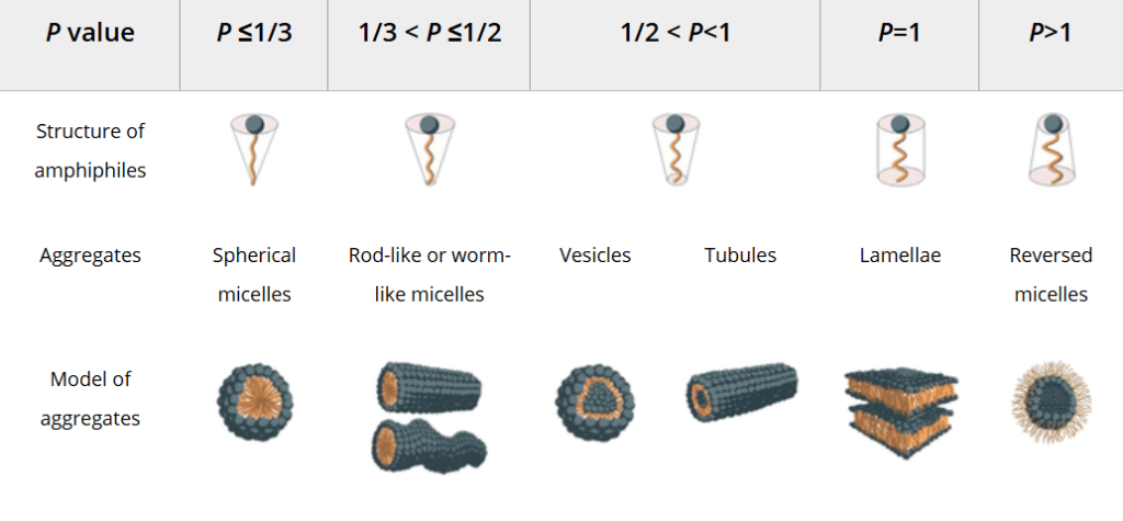 两亲分子因应不同堆叠参数（P value）得出不同结构，如柱状、球状、层状等。