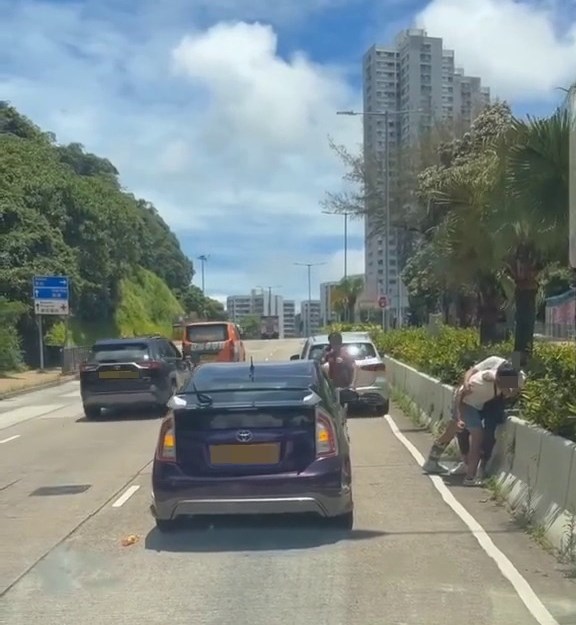 短片完結時兩人正在角力,未知鹿死誰手。fb「車CAM直擊」截圖 短片完結時兩人正在角力,未知鹿死誰手。fb「車CAM直擊」截圖
