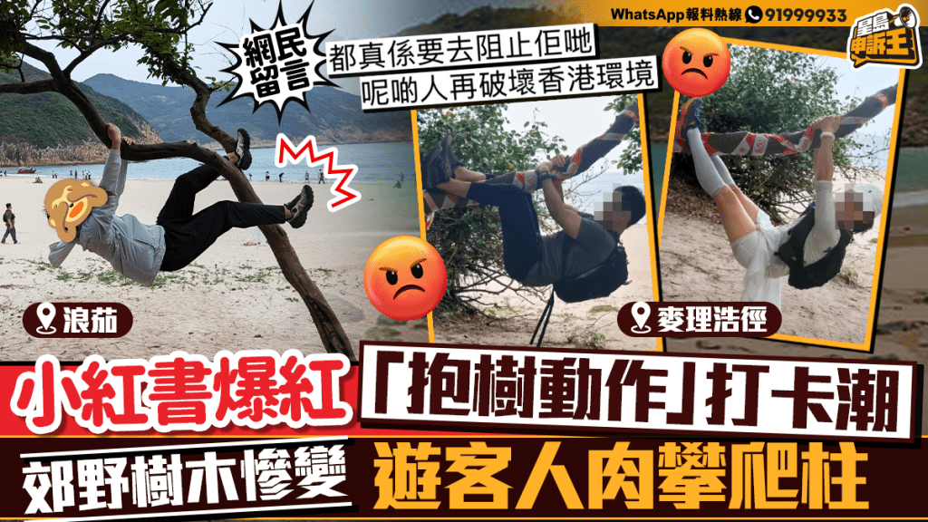 星島申訴王｜小紅書爆紅「抱樹動作」打卡潮  郊野樹木慘變遊客人肉攀爬柱