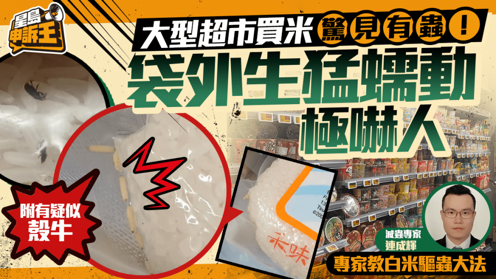 星島申訴王｜大型超市買米驚見有蟲！袋外生猛蠕動極嚇人 滅蟲專家教白米驅蟲大法