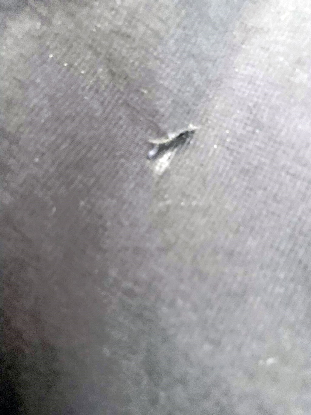 Threads截圖(資料來源:maipingdidi@Threads) Threads截圖(資料來源:maipingdidi@Threads)