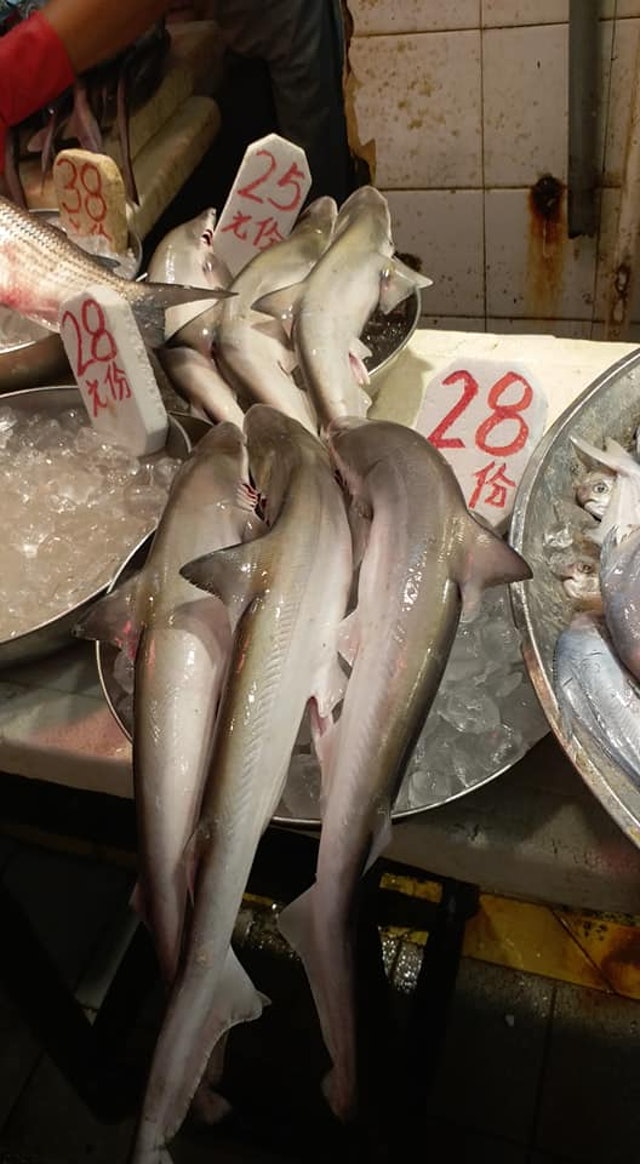 過去本港亦有魚檔賣小「鯊魚」惹起熱議，圖為元朗一個街市平賣小「鯊魚」。