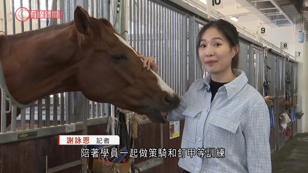 馬匹都被謝詠恩所吸引，不停舔她。