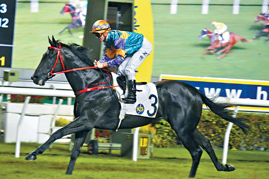 ■「精算謀略」和「喜蓮勇感」昨晚都在潘頓胯下大熱取勝。 ■「精算謀略」和「喜蓮勇感」昨晚都在潘頓胯下大熱取勝。