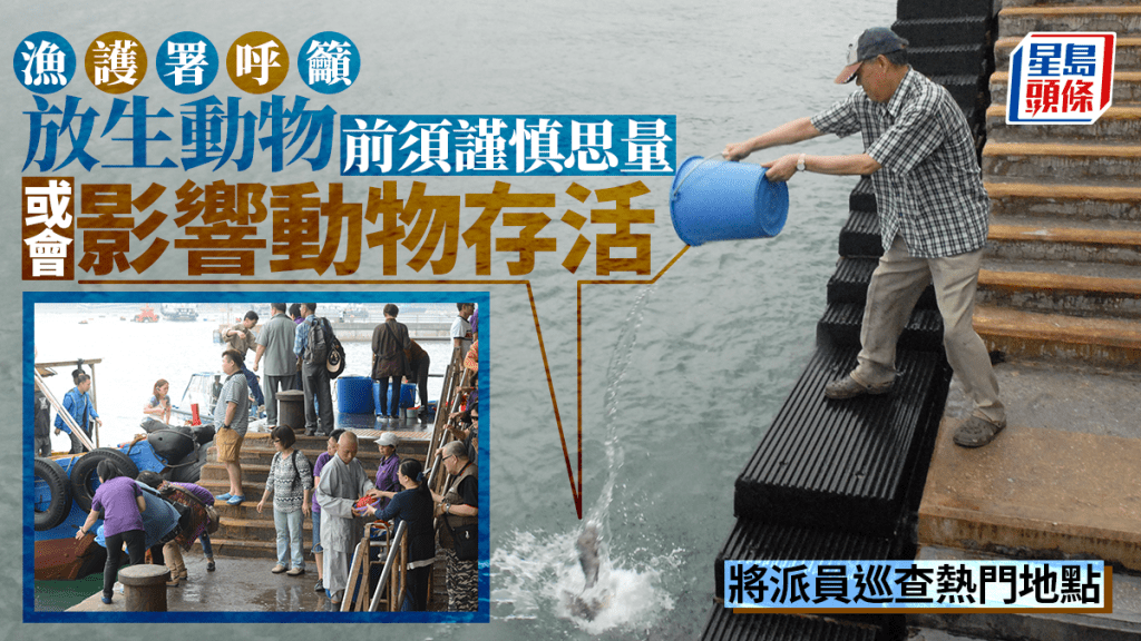 佛誕|漁護署籲放生動物前須謹慎思量 將派員適時巡查熱門地點