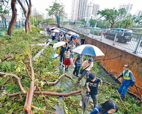 超強颱風山竹去年襲港,幾乎癱瘓全港。 資料圖片