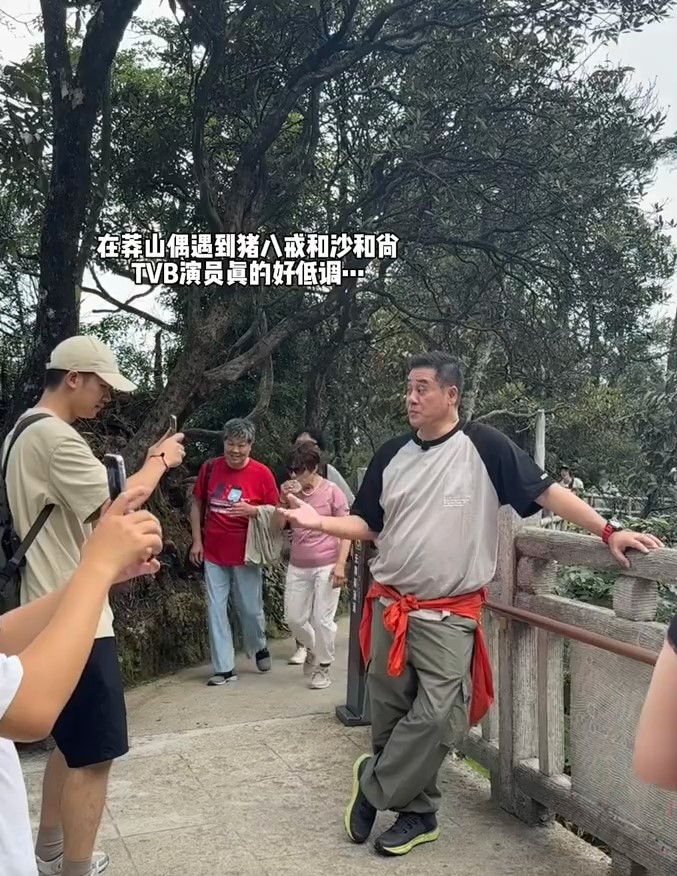 麦长青身穿黑色拼浅灰色牛角袖T恤配军裤，面形圆碌碌，面脥及肚皮都肉腾腾，身形明显又胀了一个码。