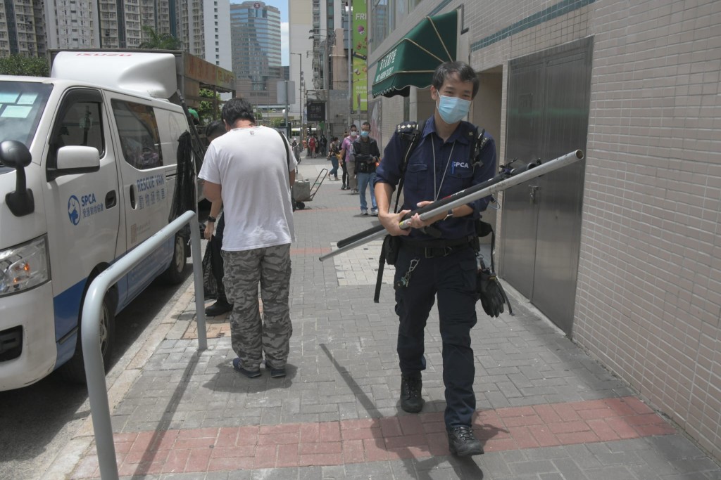 愛協及消防到場合力救起被困野鴿。梁國峰攝