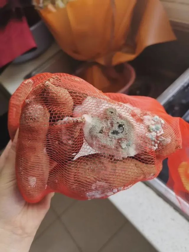 網圖