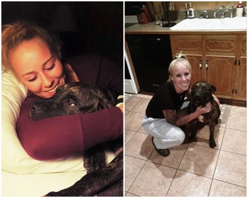 2隻鬥牛犬是被史提芬絲從小養大。Bethany Stephens fb 圖片
