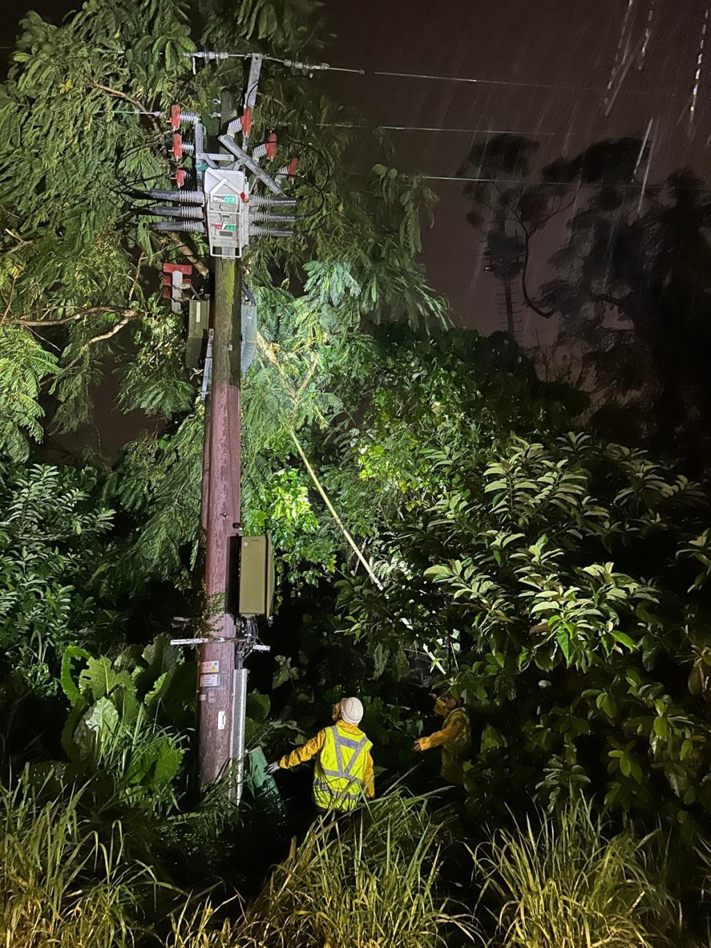 部分架空電纜及電力設備受強風及塌樹影響，中華電力已加派人手支援，以加快復修進度。中電圖片