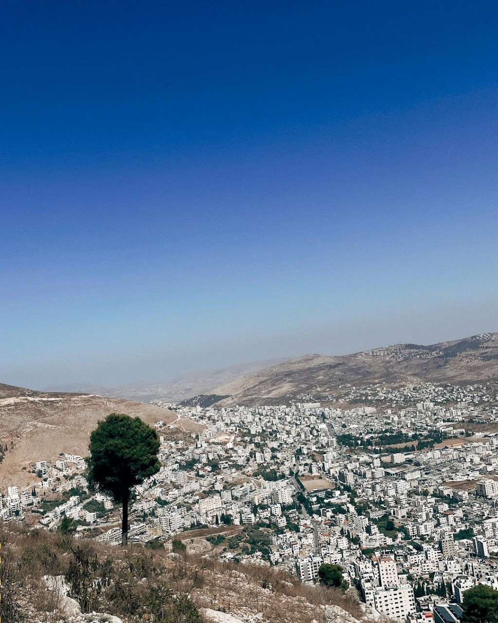 卫诗9月25日时曾分享一张以色列风景照。