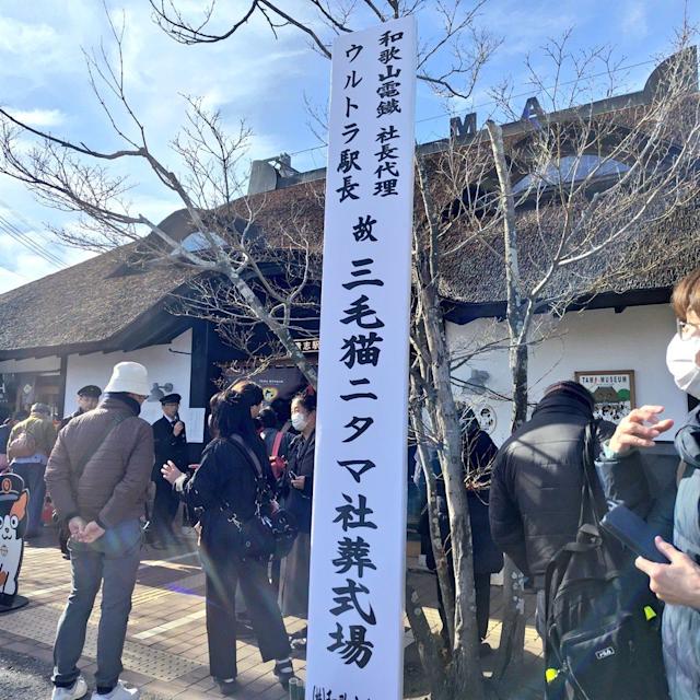 500多名粉丝送别「二代玉」。X@Nao7010 500多名粉丝送别「二代玉」。X@Nao7010