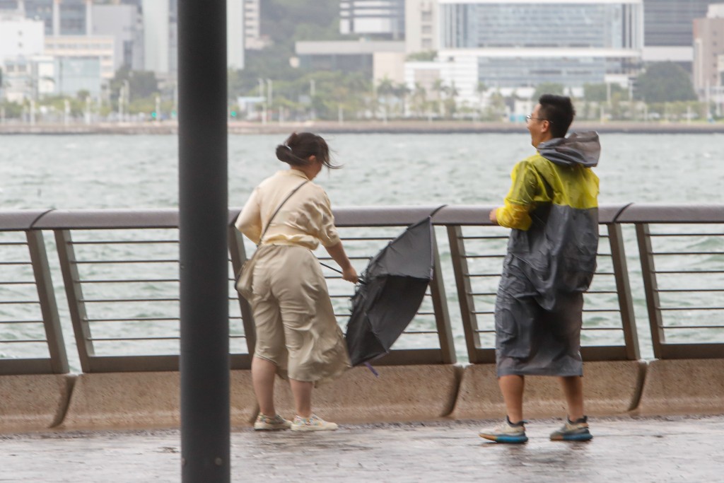 颱風泰利侵襲期間，尖沙嘴海傍附近有市民觀浪。（丹尼爾攝）
