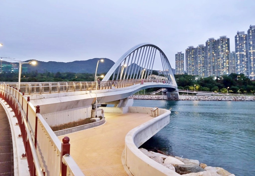 將軍澳海濱南橋空地。