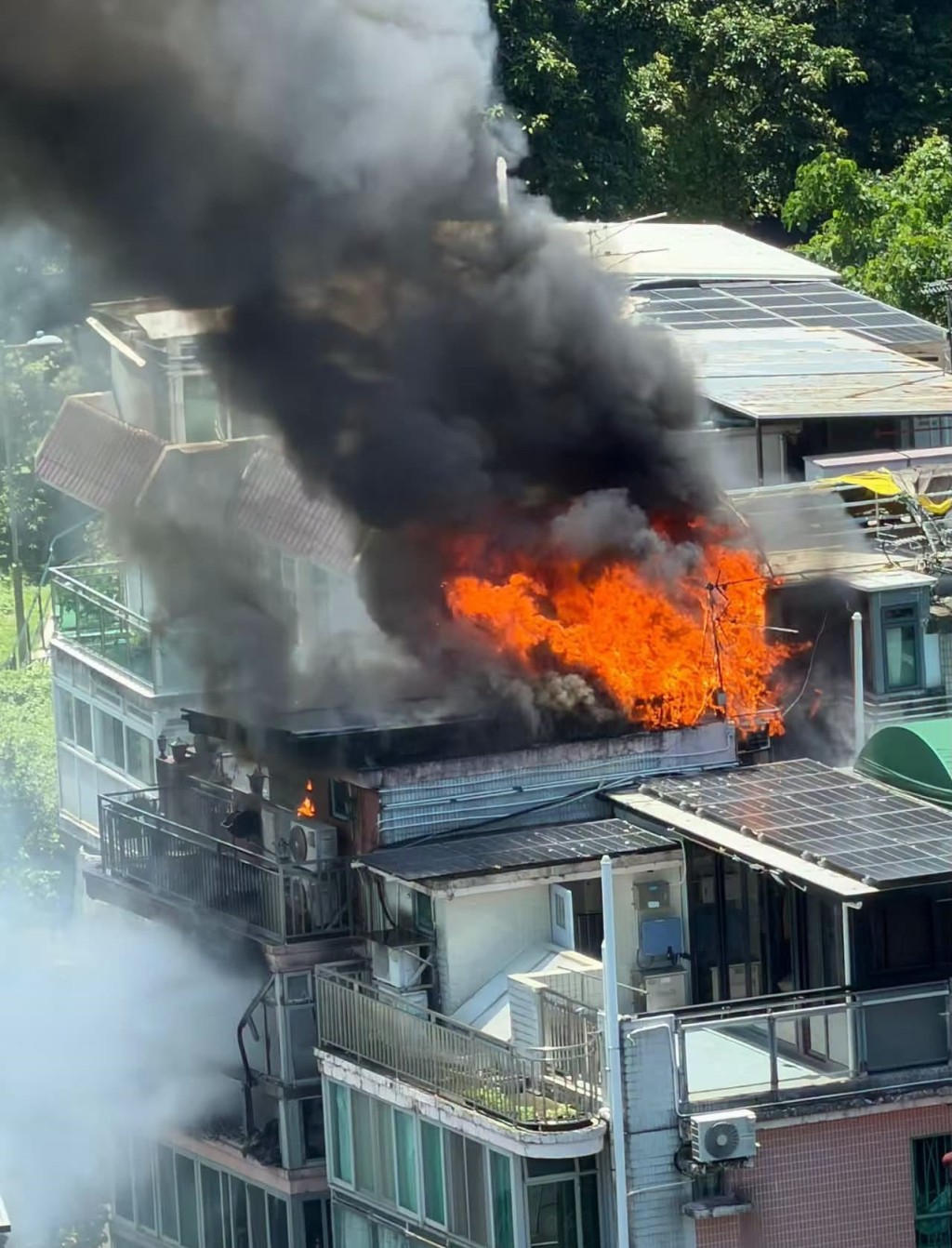 fb「D18 - 大埔友」圖片 fb「D18 - 大埔友」圖片