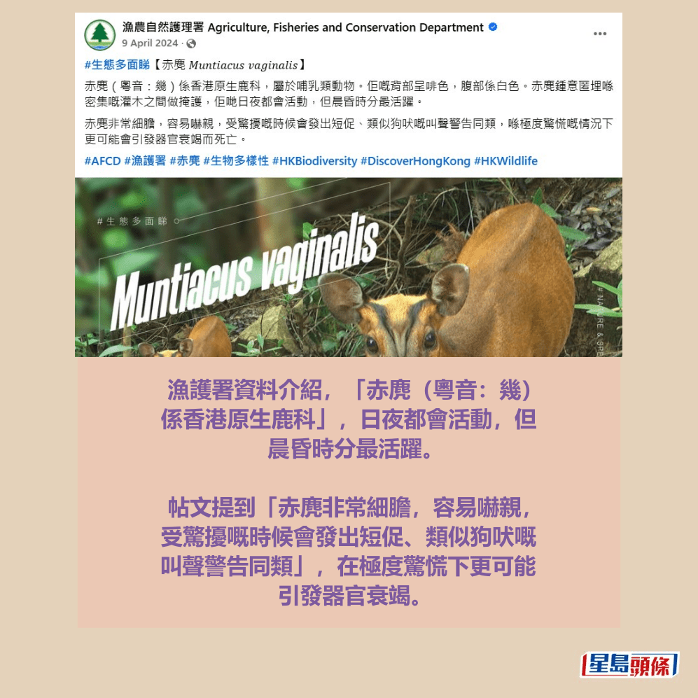 漁護署facebook專頁截圖 漁護署facebook專頁截圖