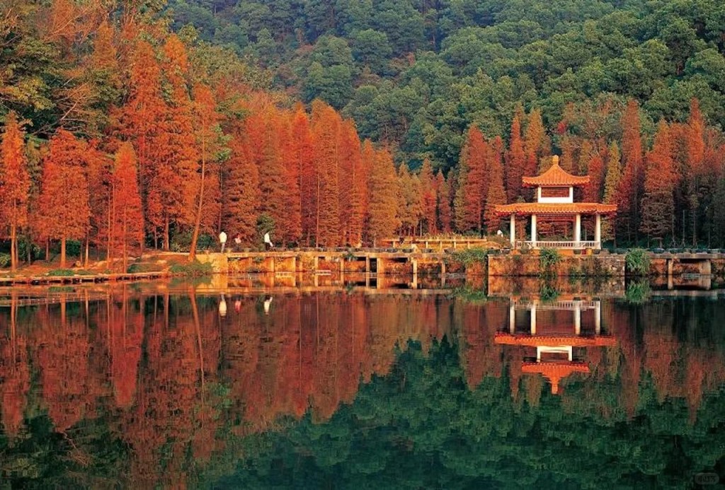 仙湖是園區裡的湖泊，也是植物園的地標（圖片來源：小紅書）