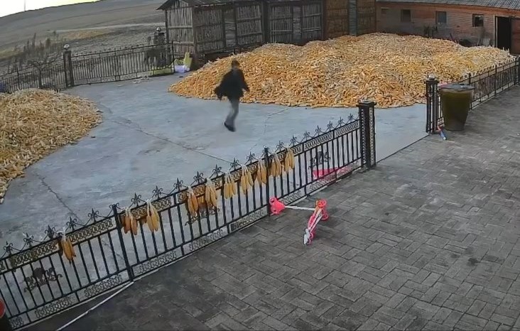 閘門被撞，男子急返回屋中。