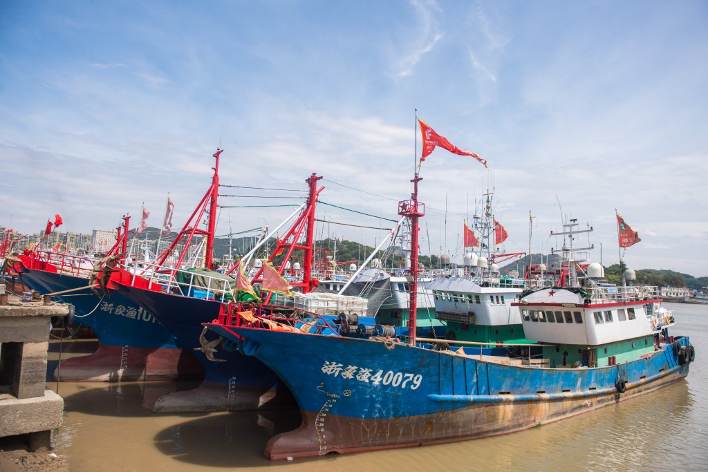 浙江大批渔船已返回海港避风。新华社