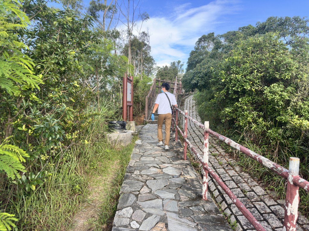 青衣自然徑屬郊野環境且覆蓋範圍甚廣,行山徑長約7,000米,與市區環境相比,控蚊工作面臨更大挑戰。資料圖片 青衣自然徑屬郊野環境且覆蓋範圍甚廣,行山徑長約7,000米,與市區環境相比,控蚊工作面臨更大挑戰。資料圖片