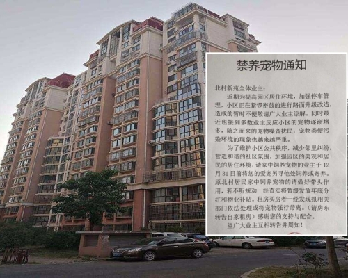青島有小區禁止全體業主養寵物惹爭議。