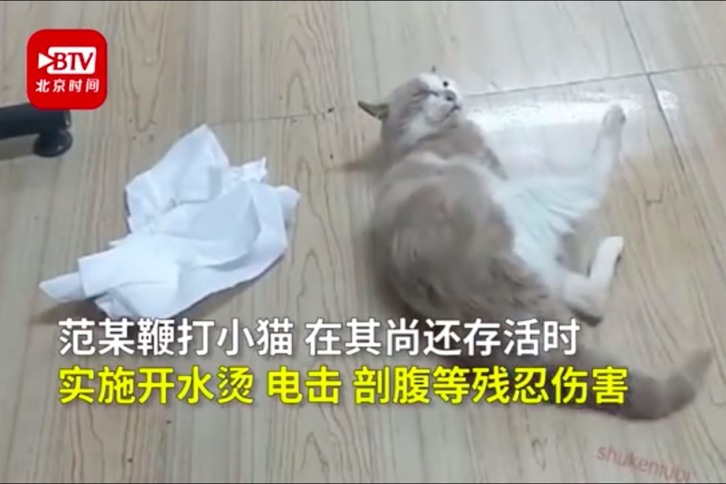 網圖