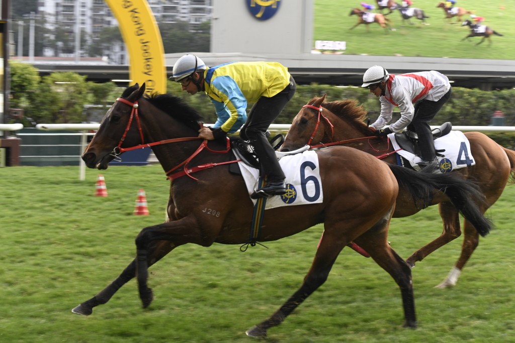 「大至尊」明日配潘頓挑戰香港打吡大賽。