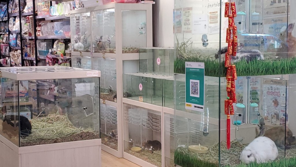 旺角通菜街187號 Little Boss店重開,但未售賣倉鼠。