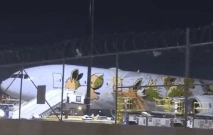 網上流傳影片顯示，與達美航空公司飛機相撞的日本全日空航空公司旗下一架波音777飛機。  抖音