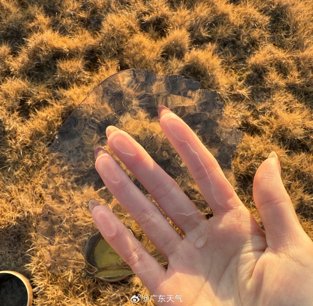 廣東受冷空氣侵襲，粵北金子山迎冰雪奇觀。（微博）