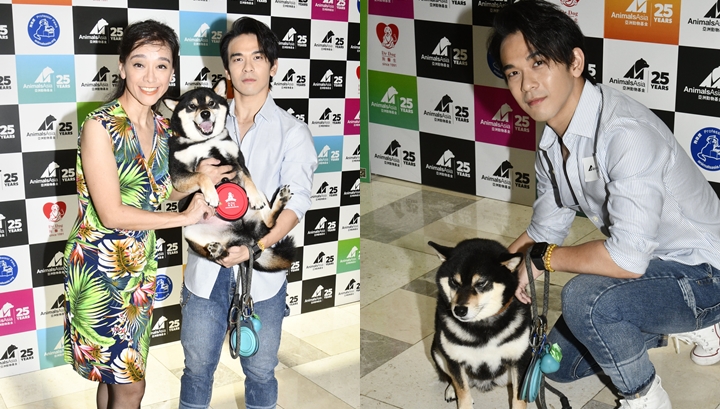 郭秀雲鼓勵港人帶友善愛犬做狗醫生幫人  龐景峰籌備開特技學校