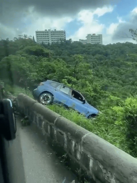 私家車衝破石壆，再剷落山坡。網上片段