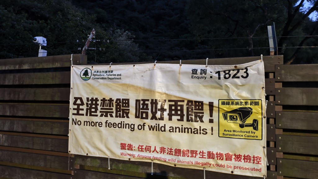 漁護署提醒市民不要餵飼野生動物。 漁護署提醒市民不要餵飼野生動物。